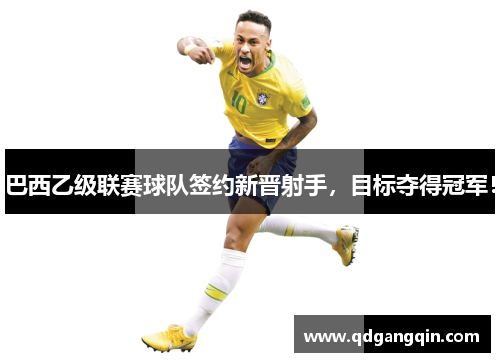 巴西乙级联赛球队签约新晋射手，目标夺得冠军！