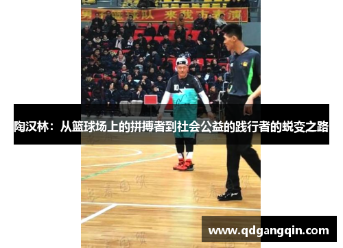 陶汉林：从篮球场上的拼搏者到社会公益的践行者的蜕变之路
