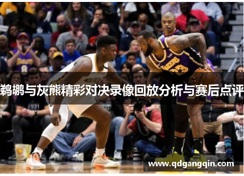 鹈鹕与灰熊精彩对决录像回放分析与赛后点评